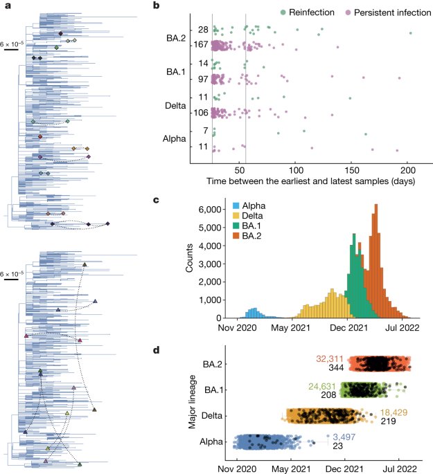 Prevalence of persistent SARS-CoV-2 in a large community surveillance study