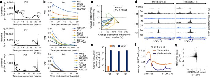 Mechanisms of action and resistance in histone methylation-targeted therapy