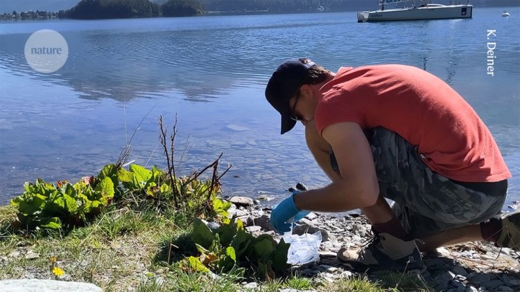 Why citizen scientists are gathering DNA from hundreds of lakes — on the same day