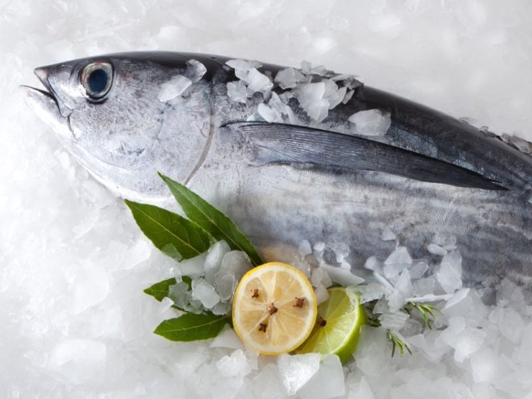 Mercury Levels in Tuna Haven't Budged Since 1971