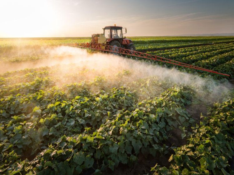 Pesticides Linked to Parkinson's Cases in Midwest, Western U.S.