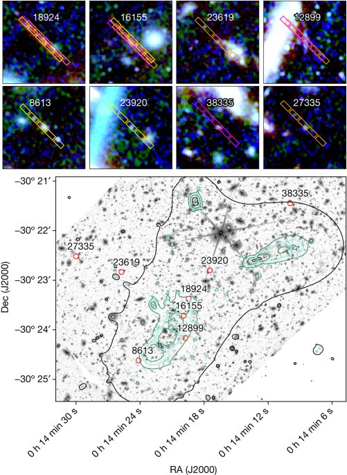 Most of the photons that reionized the Universe came from dwarf galaxies