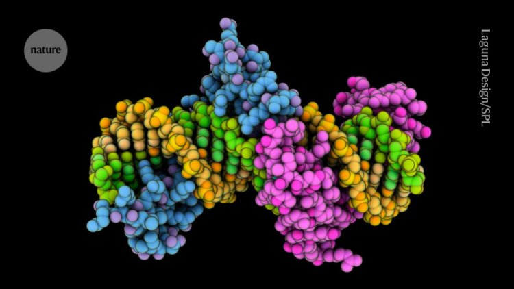 ‘Epigenetic’ editing cuts cholesterol in mice