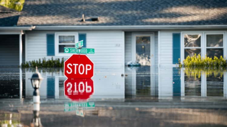 Waterlogged soils can give hurricanes new life after they arrive on land