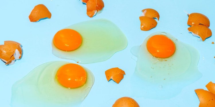 It's not just you. Eggshells really are chipping more.