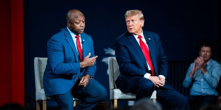 Meet Tim Scott, the South Carolina senator and former GOP candidate who could become Trump's pick for vice president