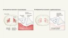 Why can’t researchers agree about consciousness? Because it’s all in the mind