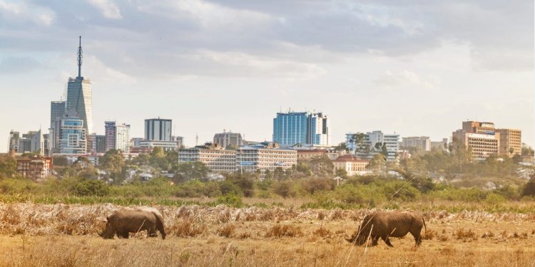 2 people were killed in a midair plane collision in Kenya, police say