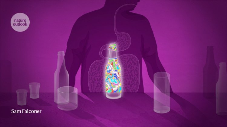 Could the gut give rise to alcohol addiction?