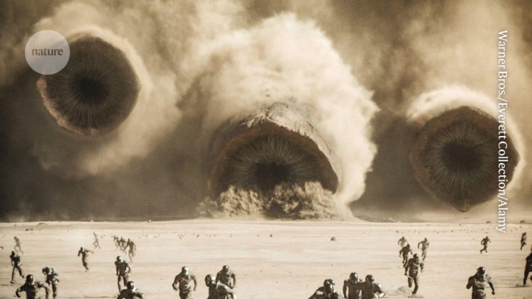 Meet the real-life versions of <i>Dune</i>’s epic sandworms