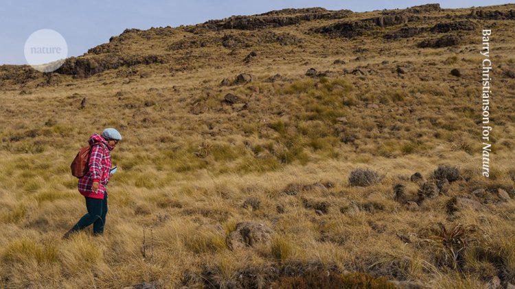 Why I wander with wonder through Lesotho’s wetlands