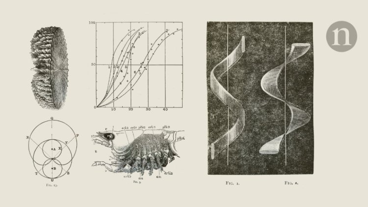 From the archive: Brain–body connection, and cuttlefish ink distracts predators