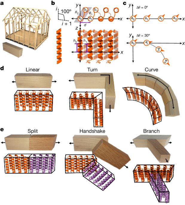 Blueprinting extendable nanomaterials with standardized protein blocks