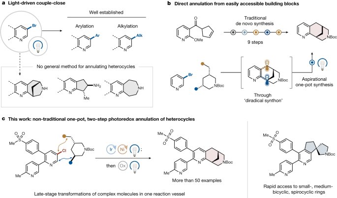 Couple-close construction of polycyclic rings from diradicals