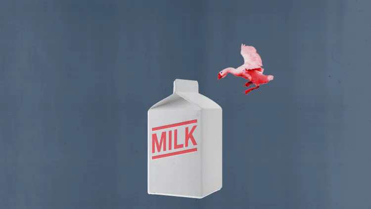 Milk Can’t Catch a Break