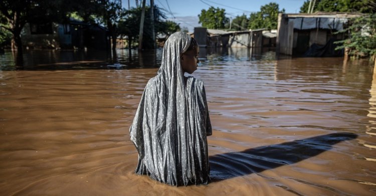 Photos of the Week: Dock Diving, Buddha Cleaning, Vapor Falls