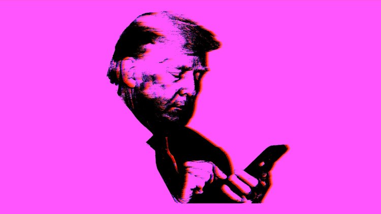 Donald Trump, TikTok Star