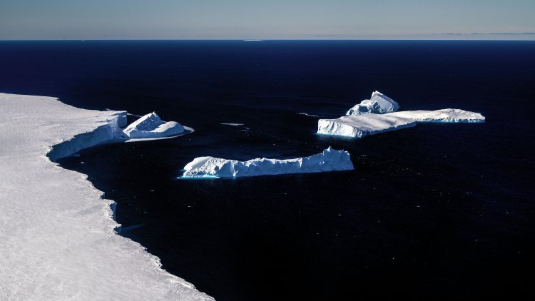 The Glacier Rescue Project