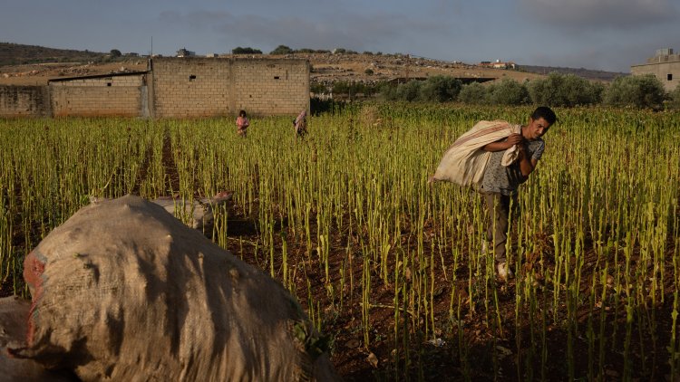 Nothing Good Would Come of an Israeli War in Lebanon