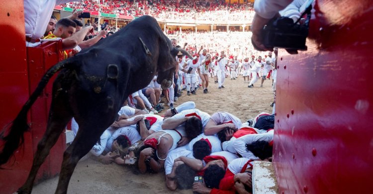 The Running of the Bulls 2024