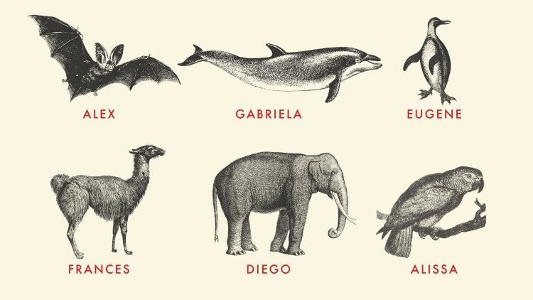 Animals Name Themselves. Do They Know Themselves?