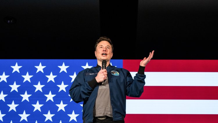 Musk Makes a Mess of Congress