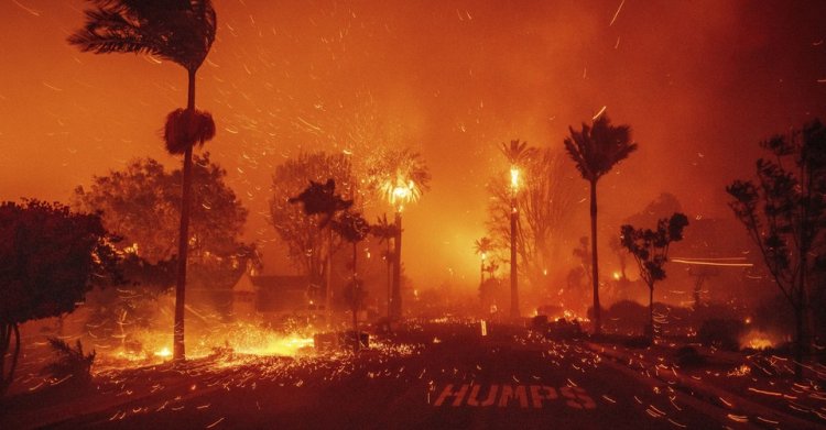 Photos: The Palisades Fire Scorches Parts of Los Angeles