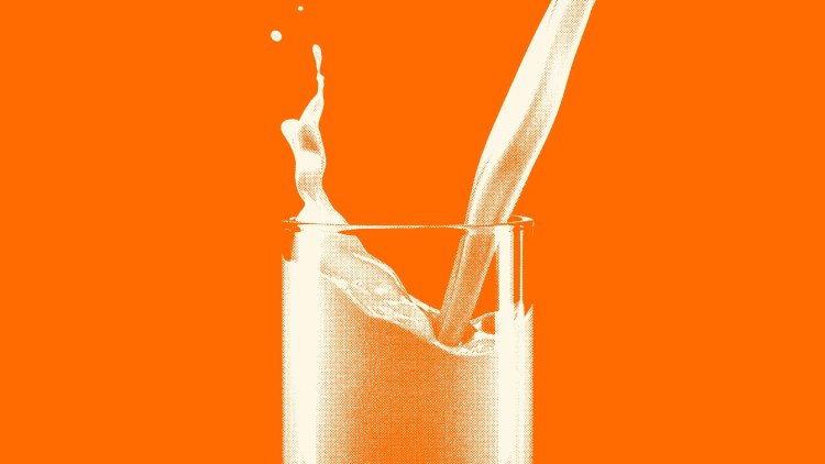 Milk Has Divided Americans for More Than 150 Years