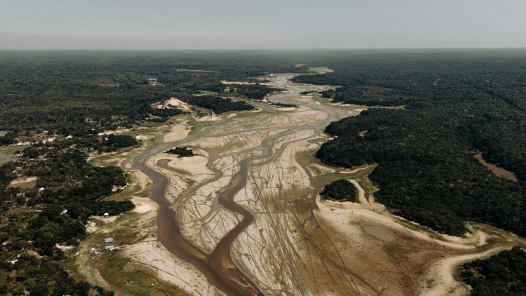 Shipwrecked in the Amazon