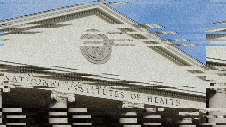 The NIH Memo That Undercut Universities Came Directly From Trump Officials